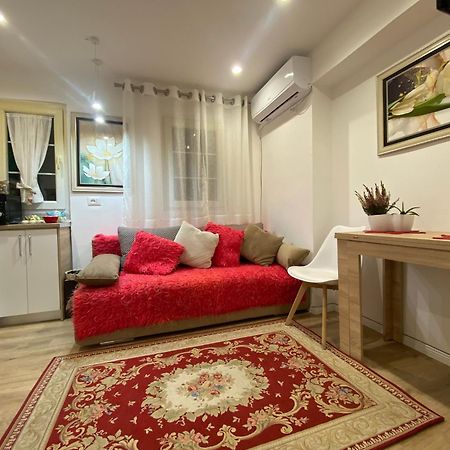 Central Welcoming Apartment In ติรานา ภายนอก รูปภาพ